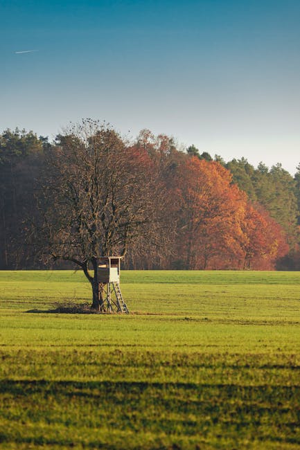 Un permis gratuit pour franchir le pas et devenir chasseur