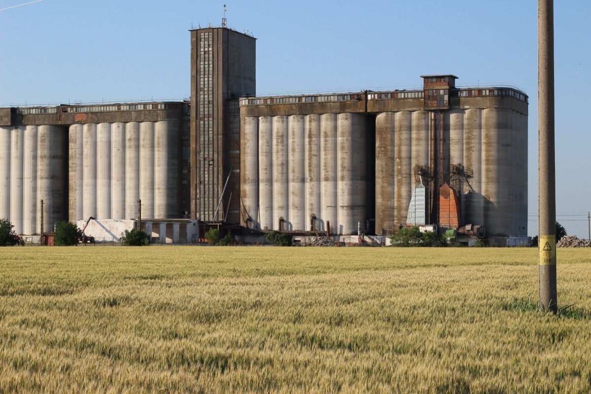 Coopératives agricoles : le modèle tient-il encore ?