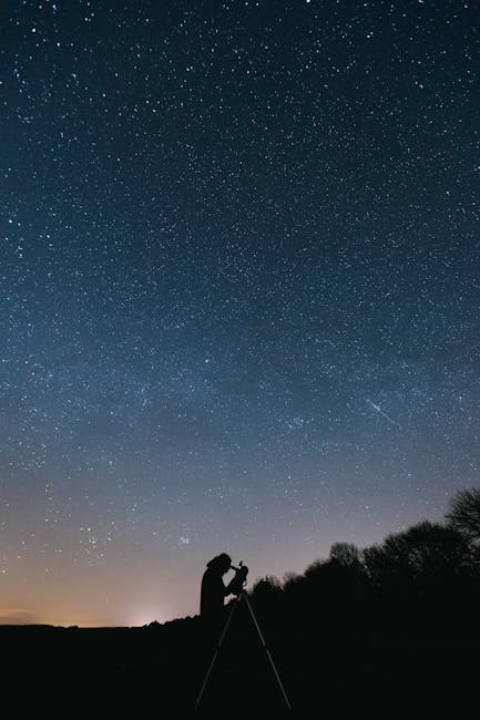Hubert Reeves : un amoureux des étoiles et de la nature