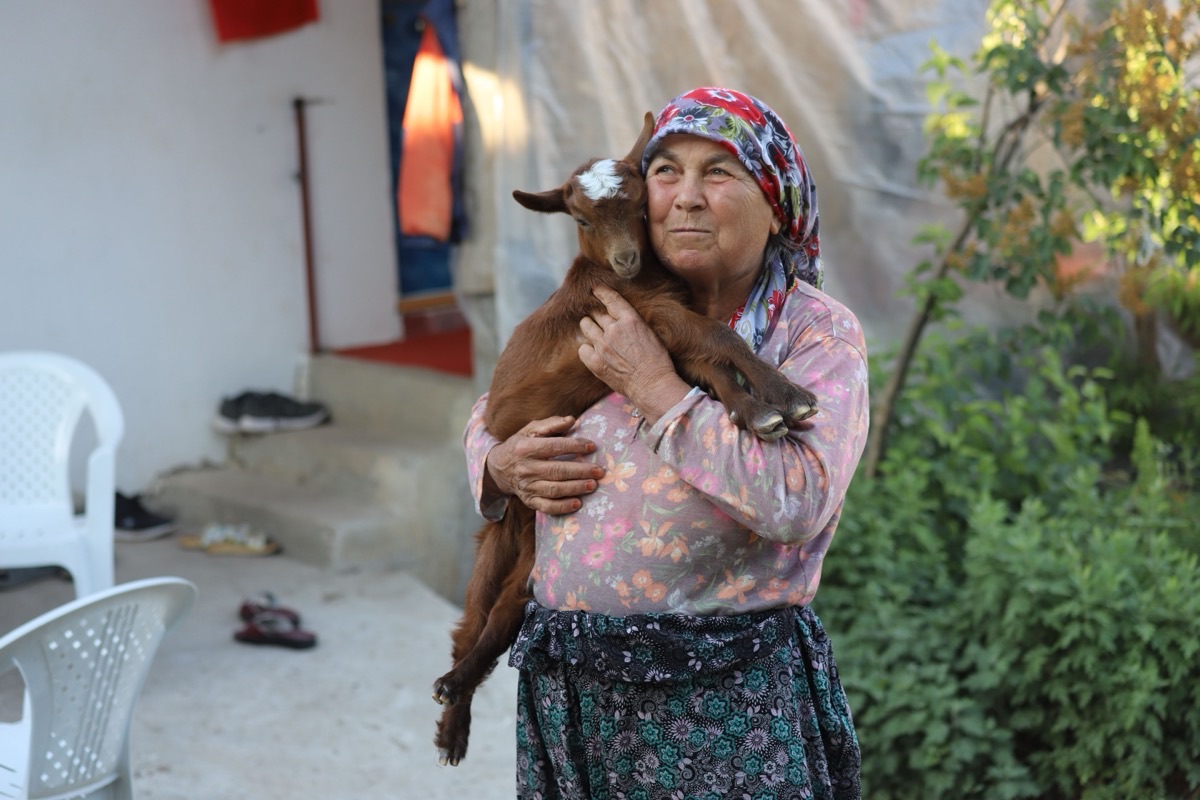 Médiation animale : quand la ferme devient lieu de soin